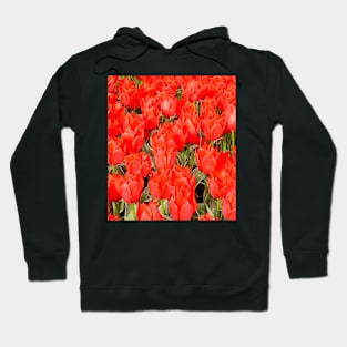 Red Tulips Hoodie